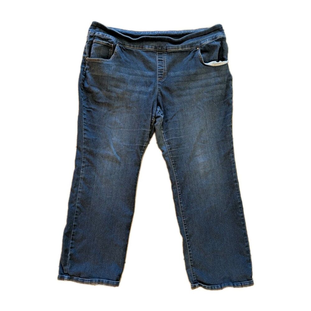 The Pioneer Woman Women’s Jeans 2X Blue Denim Pull-On Stretch Floral Embroidery